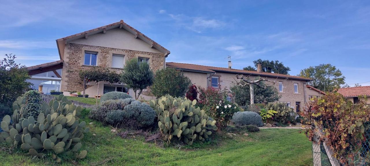 Апартаменти Figuets 3 Chateauneuf-de-Galaure Екстер'єр фото