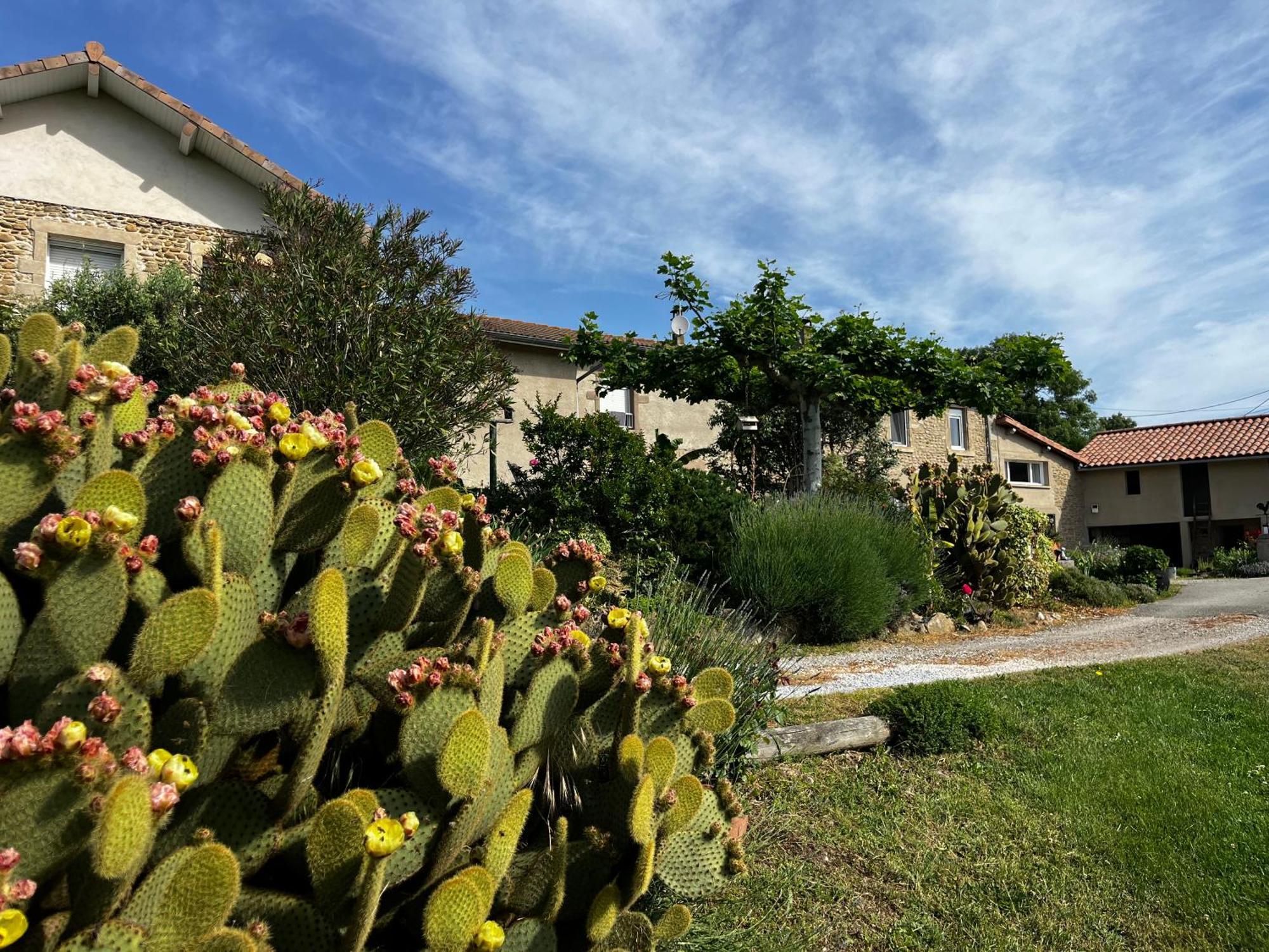 Апартаменти Figuets 3 Chateauneuf-de-Galaure Екстер'єр фото